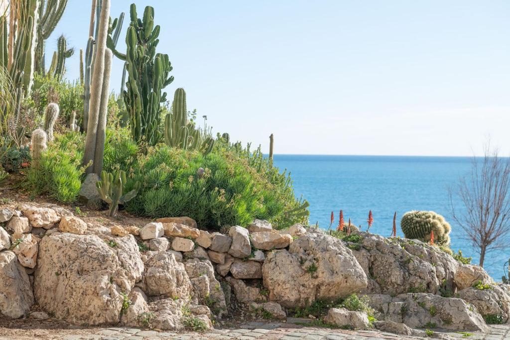 La Pablita, Vieil Antibes, Remparts Daire Dış mekan fotoğraf